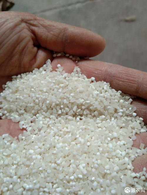 五常大米出品碎米 粥米 酿酒 农产品加工 饲料原料四种